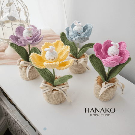 Crochet Plants