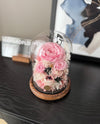 CLASSIC PRESERVED FLOWER CLOCHE